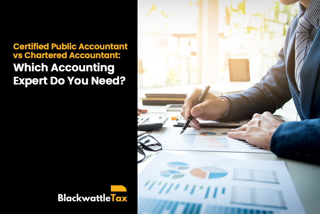 Certified Public Accountant vs Chartered Accountant: Which Accounting Expert Do You Need? 